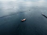 Sailing into the safe harbour