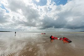Ange déchu sur Willem Havenaar