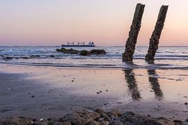 Ship passes beach with piles by Jan Georg Meijer