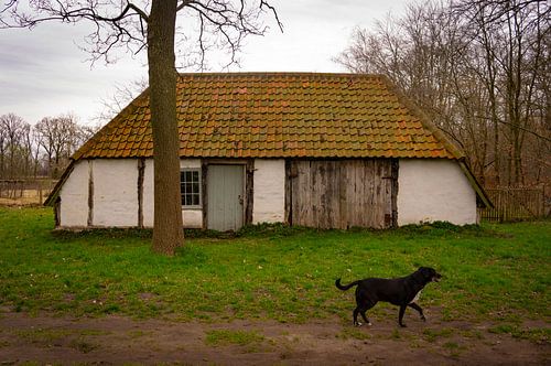 Een oude stal op de heide