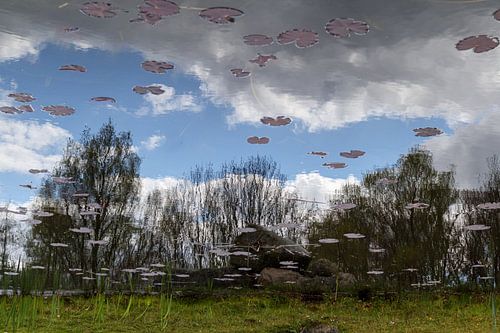 Verfremdung von Lianne van Dijk