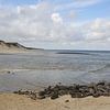 Baie isolée près de Hörnum sur l'île de Sylt sur Martin Flechsig