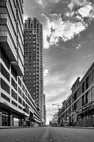 Rotterdam