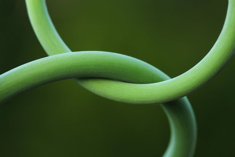 Zusammen von Heike Hultsch