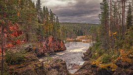 Finnland Oulanka-Nationalpark von Ger vd Broek natuurfotografie