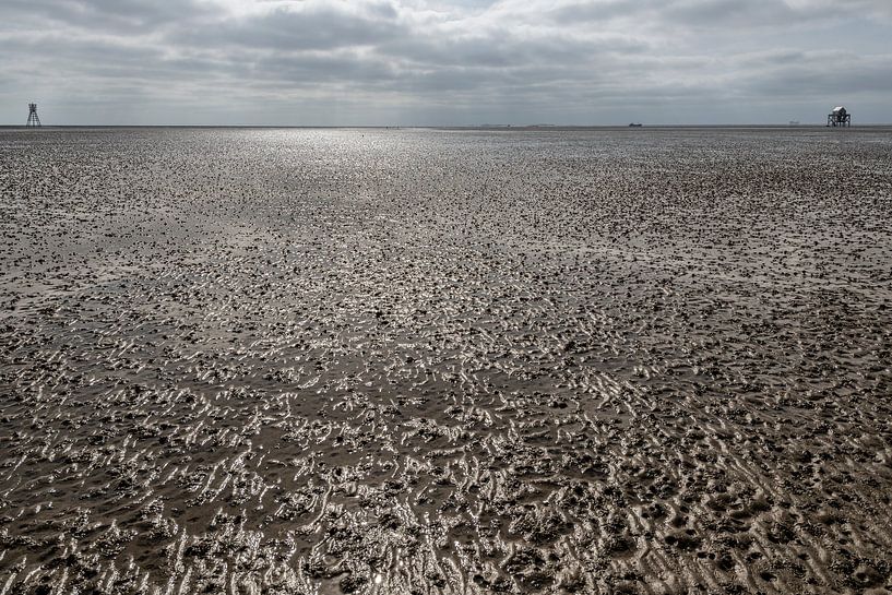 The Wad dry at Ebb with the observation building. by Brian Morgan