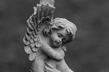 Engel mit gebrochenem Flügel von Jan Van Bizar