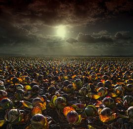 Dutch coalfield by Kenneth Stamp