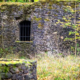 Caché dans la forêt sur Thomas Riess