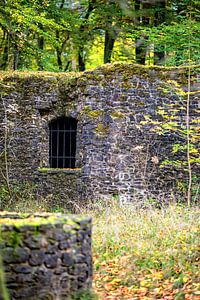 Verborgen im Wald