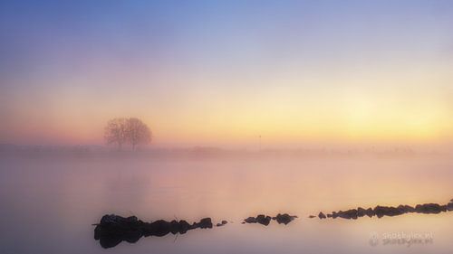 Misty Meuse sur Lex Schulte