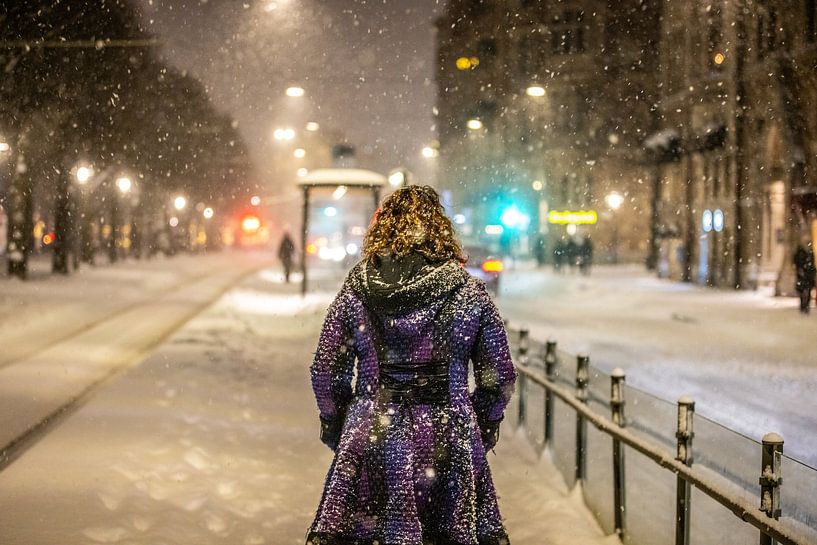 Winter in Stockholm van denk web