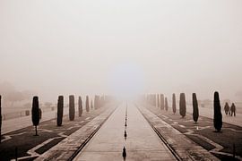 Der Weg zum Taj Mahal von Lou Wall