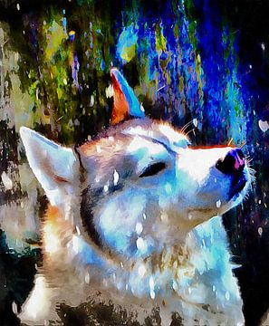 Husky geniet van de sneeuw van Dorothy Berry-Lound