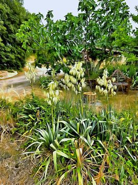 Bloemenpluimen in de vroege zomer in Umbrië van Dorothy Berry-Lound