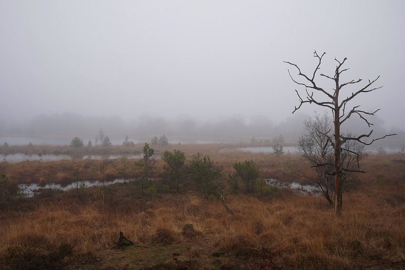 nur von Madeltijntje