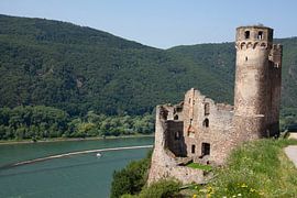 Ehrenfels Castle by Torsten Krüger