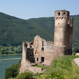Burg Ehrenfels von Torsten Krüger