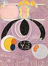 De tien grootste, nr. 6, Hilma af Klint van Meesterlijcke Meesters thumbnail