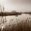 Kalkense meersen, Rustig landschap, België van Imladris Images