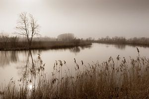 Kalkense meersen, Rustig landschap, België