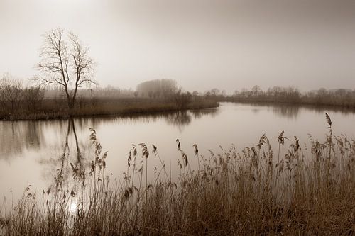 Kalkense meersen, Tranquil Landscape, Belgium by Imladris Images