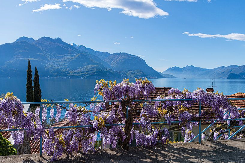 Lac de Côme avec pluie bleue par Jacqueline Jellema