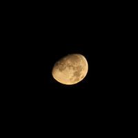 Yellow moon