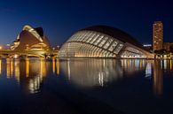 City of Arts and Sciences (Valencia)  par Bert Meijer Aperçu