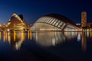 City of Arts and Sciences (Valencia)  van Bert Meijer