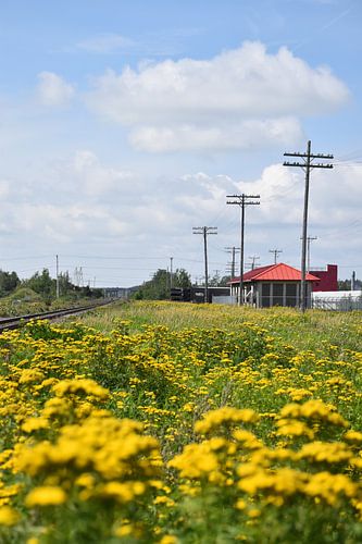La gare de chemin de fer en été