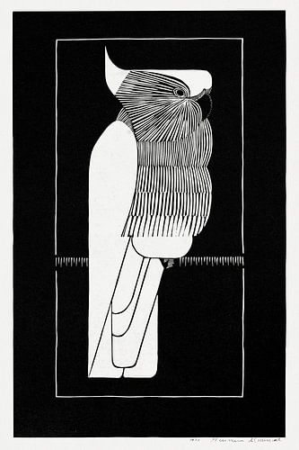 Samuel Jessurun de Mesquita - Sulphur crested Cockatoo