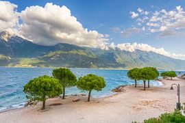 Small Beach with Pine Trees on Lake Garda near Limone by Stefano Orazzini