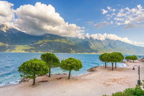 Klein strand met pijnbomen aan het Gardameer bij Limone
