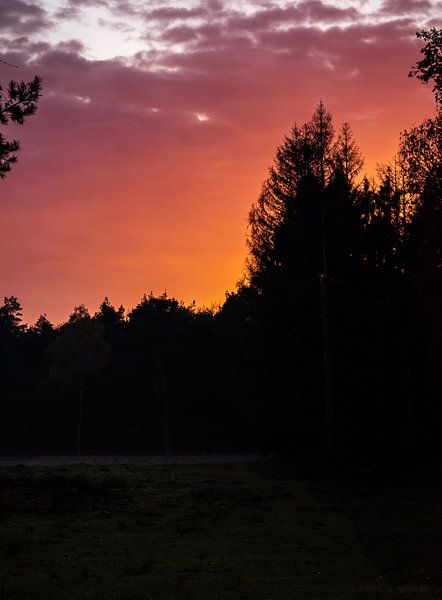 Lucht in de fik: zonsondergang in de Lage Vuursche van Andrea de Jong