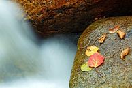 Vermont Waterfall von Borg Enders Miniaturansicht