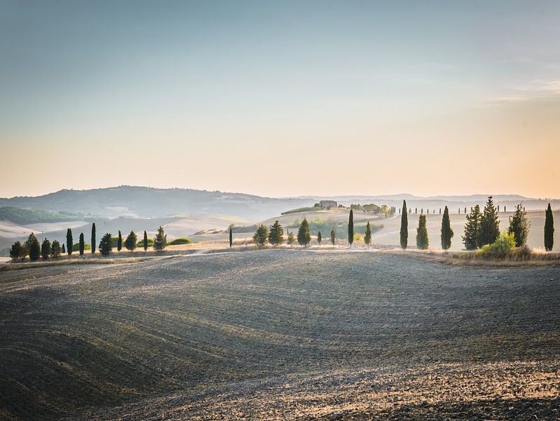 Tuscany by Bianca  Hinnen