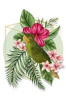 L'oiseau de l'été