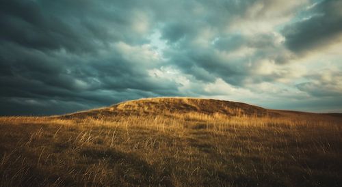 Alpine meadow in the morning light