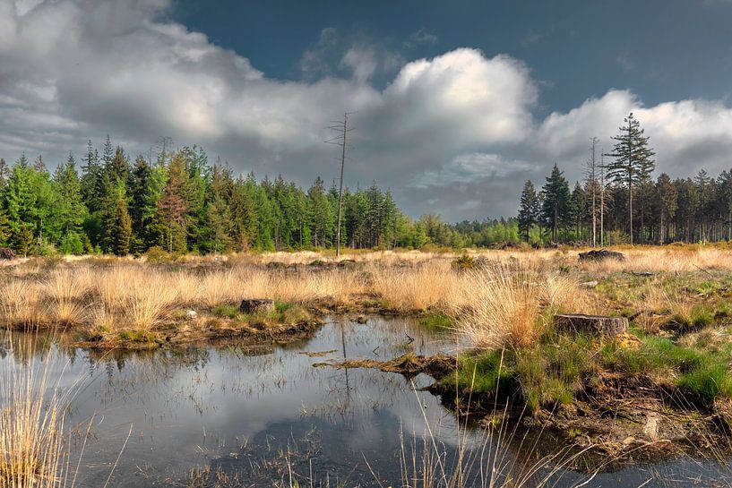 Das Dwingelderveld im Panorama von Humphry Jacobs