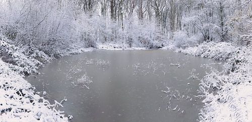 Cold as ice