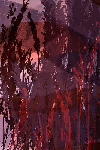 Gras in paars, koraalroze, violet. Moderne botanische kunst.