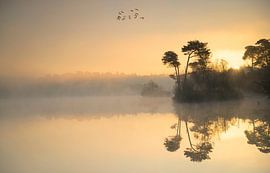 Sunrise Near the Voorst Goorven by Ron Frenken