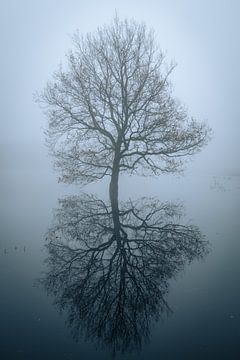 Weerspiegeling van Sebastiaan Bergacker