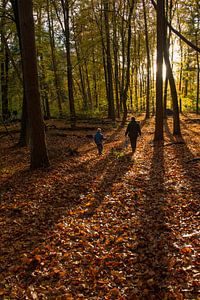 Wandelen in een kleurig bos in de herfst
