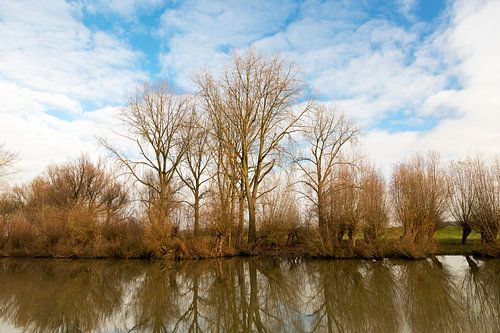 herfstbomen reflecteren in het water
