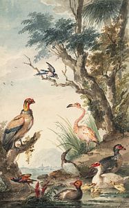 Landschap met exotische vogels Aert Schouman (1710-1792)  1765 (gezien bij vtwonen) van Teylers Museum