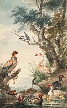 Paysage avec oiseaux exotiques Aert Schouman (1710-1792) 1765