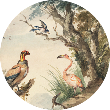 Landschap met exotische vogels Aert Schouman (1710-1792)  1765 (gezien bij vtwonen) van Teylers Museum