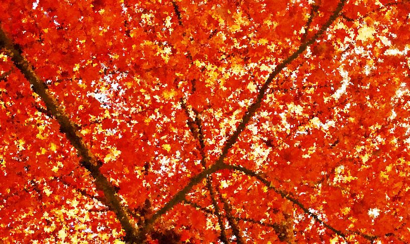 érable rouge en automne mixed media par Werner Lehmann